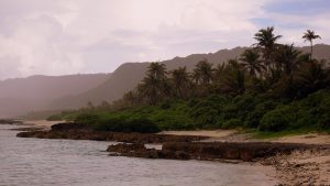 The Air Force disposes of hazardous waste in Guam. The Supreme Court will decide if it can continue