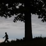 Cornell assault case spurs call for ‘bad Samaritan’ laws fining non-acting bystanders
