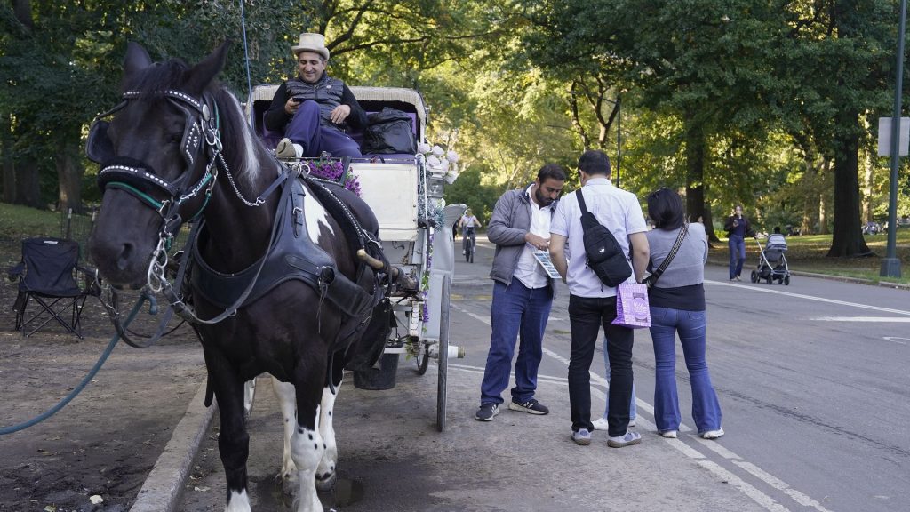 New York City Council to vote on banning horse-drawn carriages