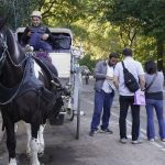 New York City Council to vote on banning horse-drawn carriages