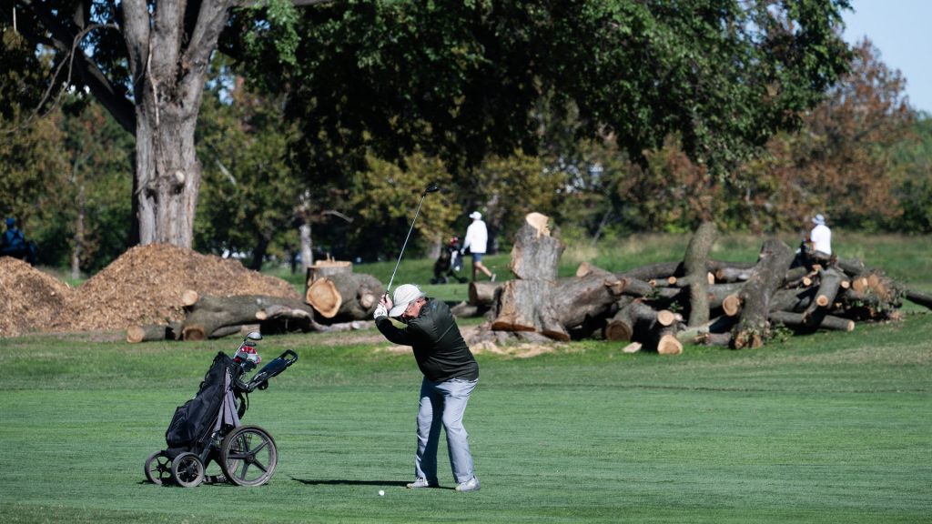 Judge questions Trump’s golf course overhaul after more than 400 trees removed