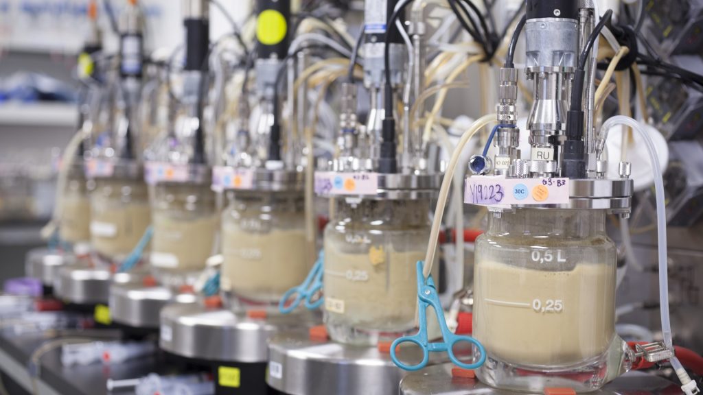 The internet is furious about lab-grown eggs. Here’s what’s actually happening 
